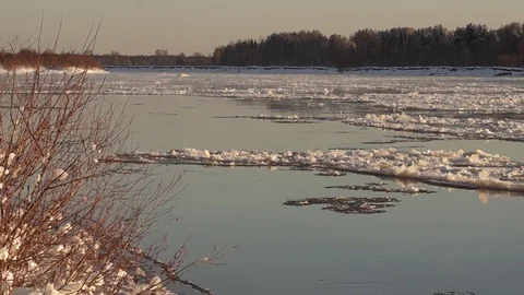 Sludge on the river Stock Footage 118832460