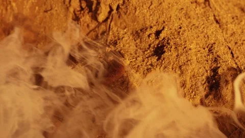 Slug crawling on the ground through spooky smoke Stock Footage 341294600