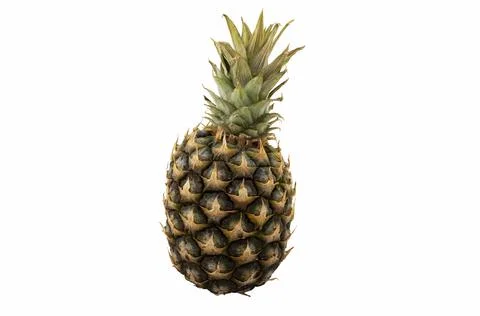 Sluggish pineapple isolated on white background. Stock Photos