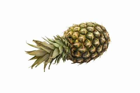 Sluggish pineapple isolated on white background. Stock Photos