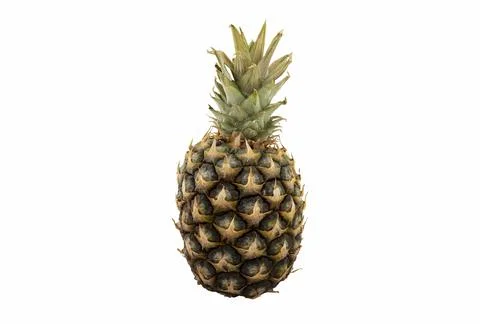 Sluggish pineapple isolated on white background. Stock Photos