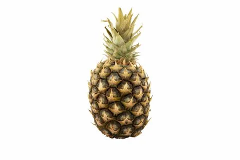 Sluggish pineapple isolated on white background. Stock Photos
