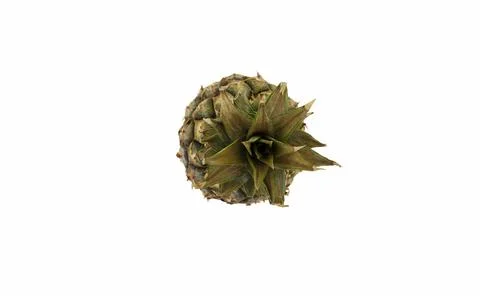 Sluggish pineapple isolated on white background. Stock-Fotos