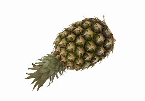 Sluggish pineapple isolated on white background. Stock Photos