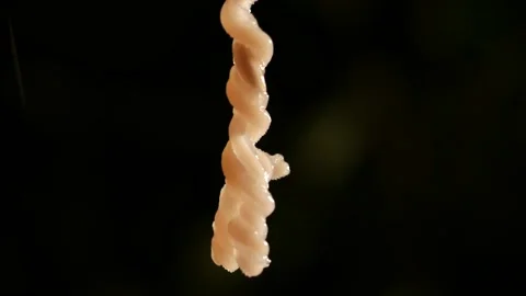 Slugs mating Stock Footage