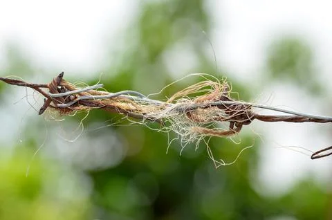 Slum barbed wire Stock Photos