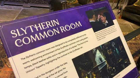 Slytherin Common Room descriptive plaque in the Harry Potter Studio Tour Stock Footage 323918643