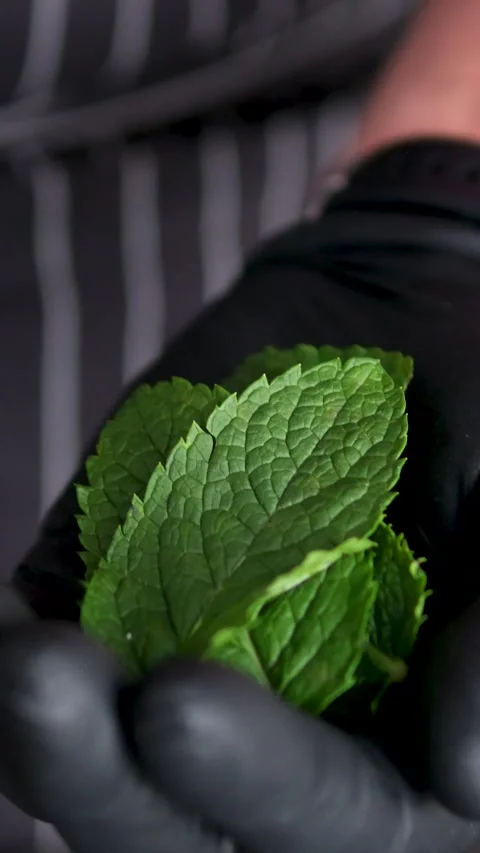 Smack mint with hand. Add mint to glass. Making lemonade, summer drink, cold Stock Footage 278578212