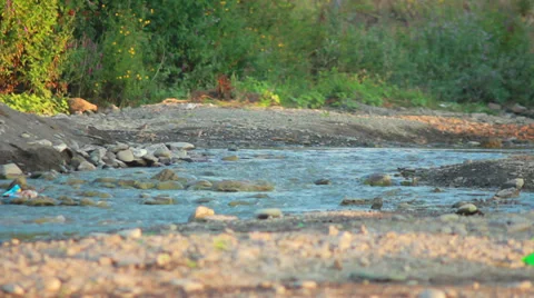 Smal Mountain River Stock Footage 27270976