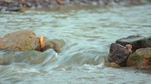 Smal Mountain River 스톡 동영상 27271744