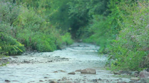 Smal Mountain River Stock Footage 27271974