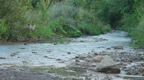 Smal Mountain River Stock Footage 27272814