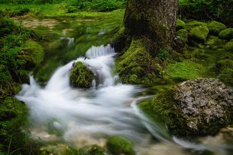 Smal waterfall surrounded by green moss in Soca (Trenta) valley in Slovenia. Stock Photos