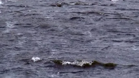 Smal waves on the lake in hard wind Stock Footage 80025115