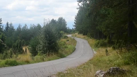 Small abandoned forest road on a cloudy day. Tranquil scene. Stock Footage 249902355