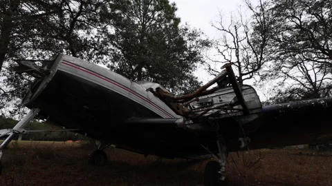 Small Abandoned Plane In Forest On Cloudy Day Vídeo Stock 147005507