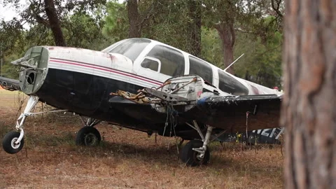 Small Abandoned Plane In Forest 스톡 동영상 147005509