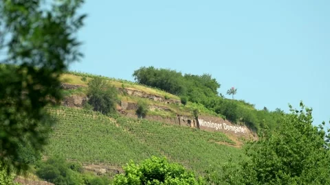 Small aircraft passing in front of a vineyard Stock Footage 265590906