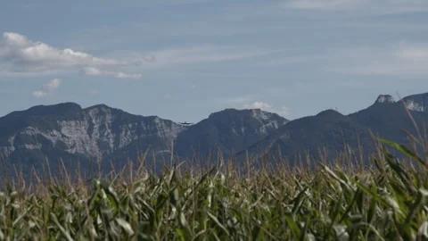 Small airplane approaching mountain range Stock Footage 263154236