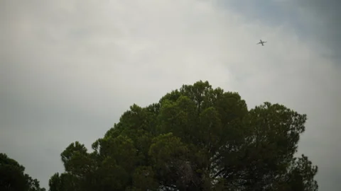 Small airplane flying high in a cloudy, grey sky above the dark green canopy of Stock Footage 343120167