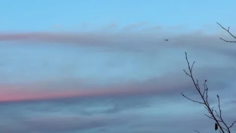 Small Airplane Flying Through Cloudy Sky at Sunset Stock Footage 301819942