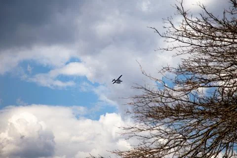 Small Airplane Flying Through a Cloudy Sky with Bare Tree Branches Stock Photos