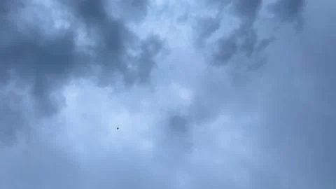 Small airplane silhouette flying high in vast blue sky  스톡 동영상 344041632