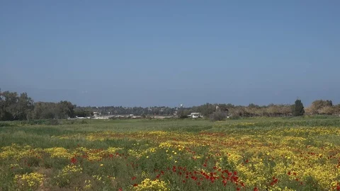 Small airplane touchdowns and take off Stock Footage 105927870