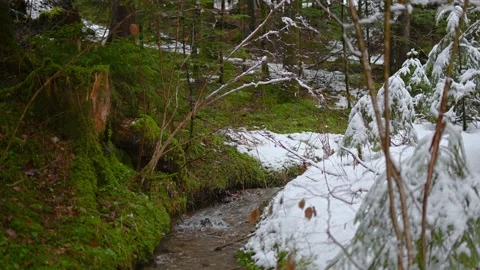 Small Alpine stream flowing in beautiful nature in winter season Stock Footage 144840704