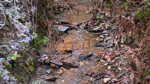 Small Alpine stream flowing in cold frosty nature Stock Footage 144007907