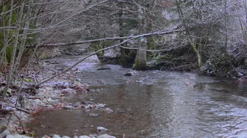 Small Alpine stream flowing in cold frosty nature Stock Footage 144008008