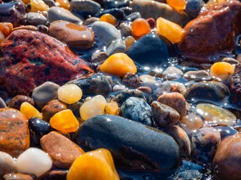 Small amber stone and pebbles on the sandy beach. Shallow wet amber washed by Stock Photos