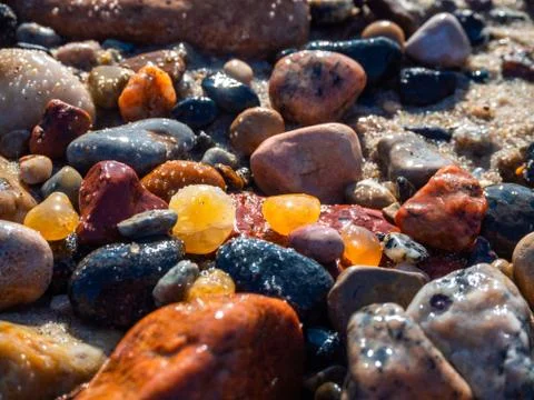 Small amber stone and pebbles on the sandy beach. Shallow wet amber washed by Stock Photos