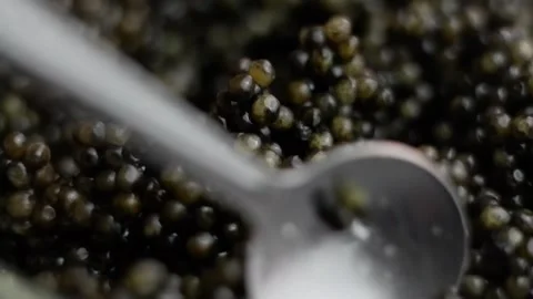 A small amount of black caviar. Mixing caviar with a spoon. Stock Footage 170451662