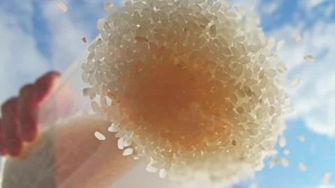 A small amount of rice is spilled from the container onto a clear glass against Stock Footage 315352735