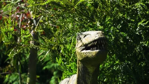 Small ancient dinosaur hiding peaking from the bush looking for his prey Stock Footage 223979745