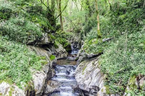 Small and beautiful spring in the forest of Navarra Stock Photos