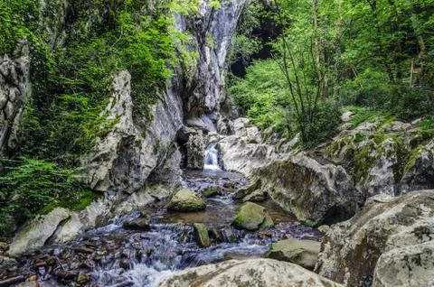 Small and beautiful spring in the forest of Navarra Stock Photos