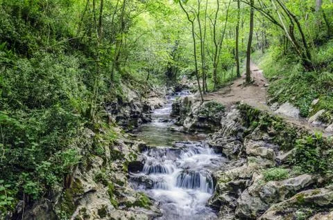 Small and beautiful spring in the forest of Navarra Stock Photos