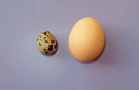 Small and big eggs Stock Photos