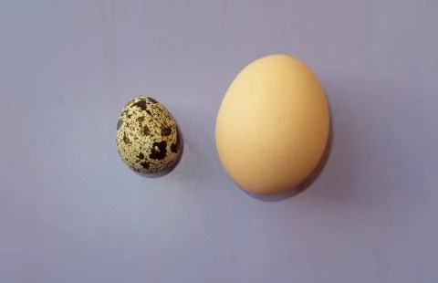 Small and big eggs Stock Photos