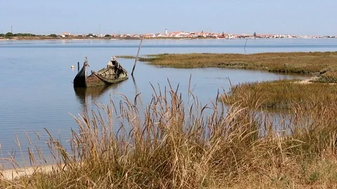 Small and decrepit sunken boat half-submerged in estuary, surrounded by Stock Footage 94964665