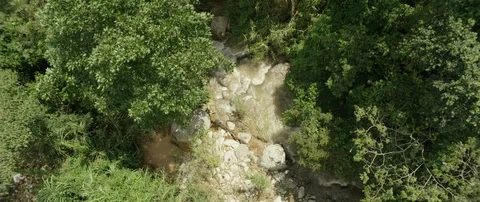 Small and fast river stream in forest. top down aerial Stock Footage 111676654