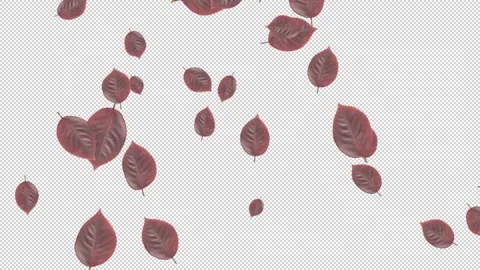 Small and large leaves falling from the top Vídeo Stock 321018945