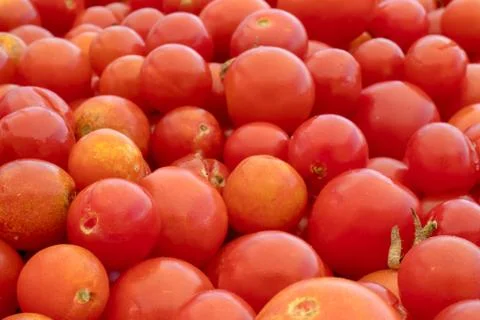 Small and large red cherry tomatoes on the background of nature. Italian prod Stock Photos
