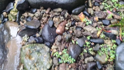 Small and large rock texture in the village Stock Footage 303426865