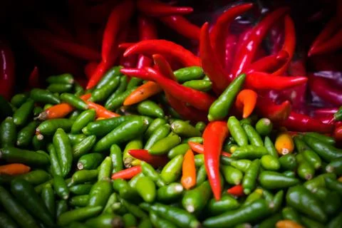 Small and medium spicy chilli pepper Stock Photos
