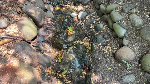 Small and narrow water stream outdoor Stock Footage 281039946