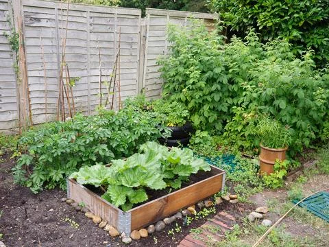 A small and neat vegetable patch in a garden Stock Photos