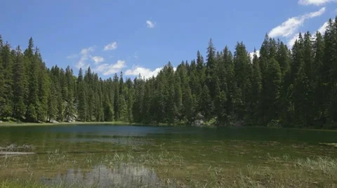 Small and shallow mountain lake surrounded with pine forest. Fast clouds passing Stock Footage 8561900